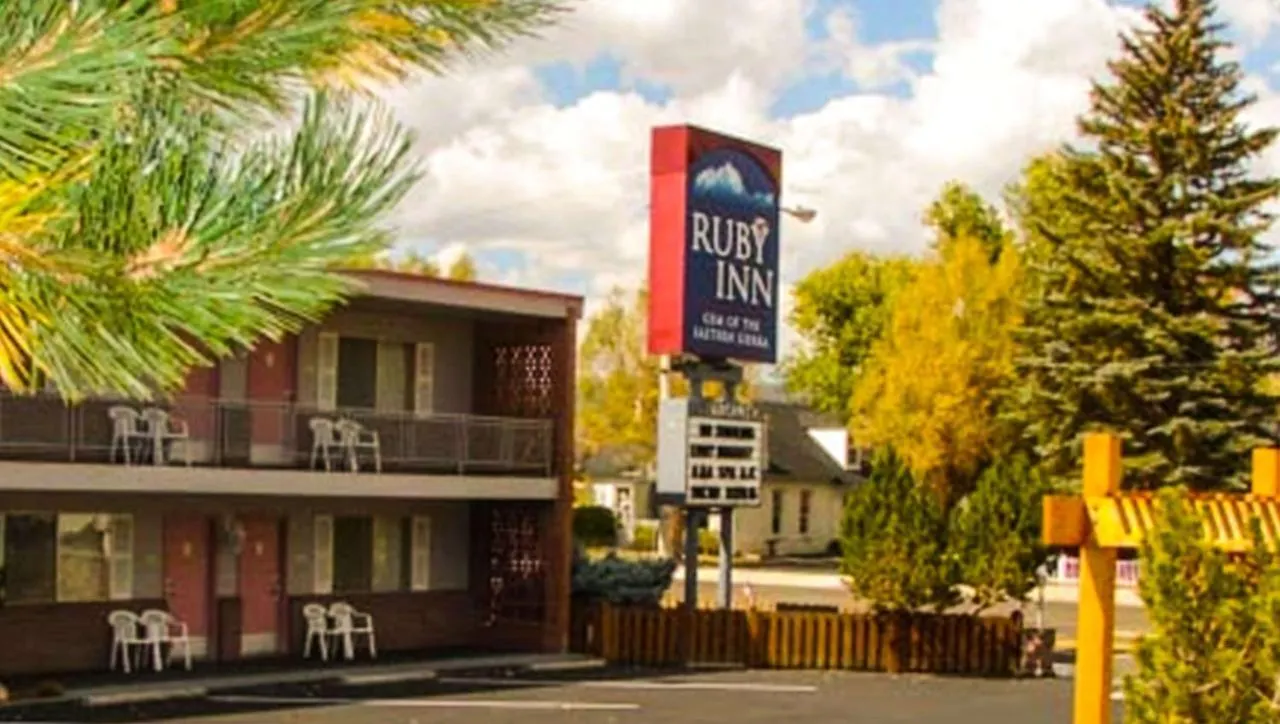 Staying In Stanislaus National Forest: 4 Central Hotels Compared
